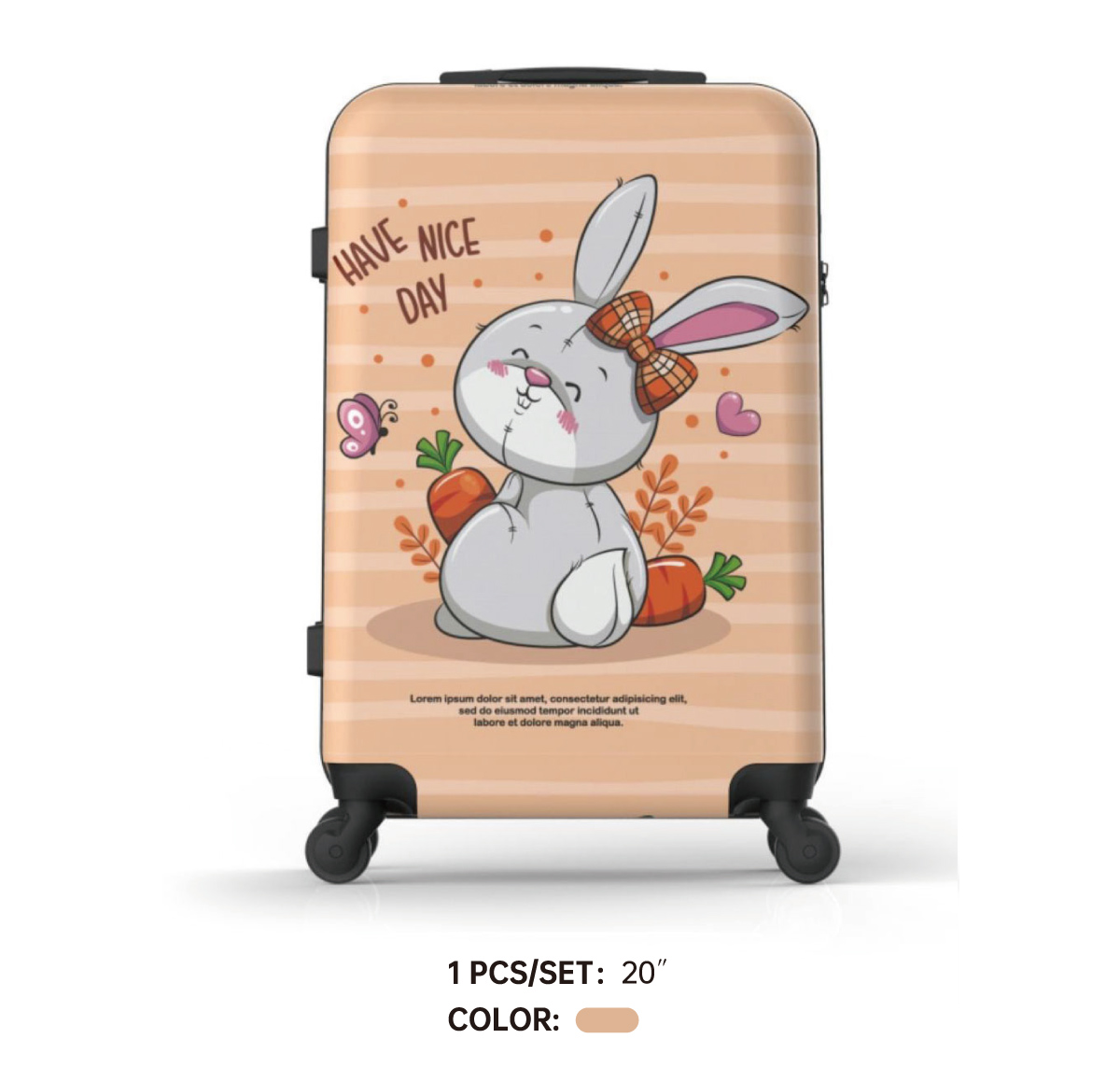 DIY luggage